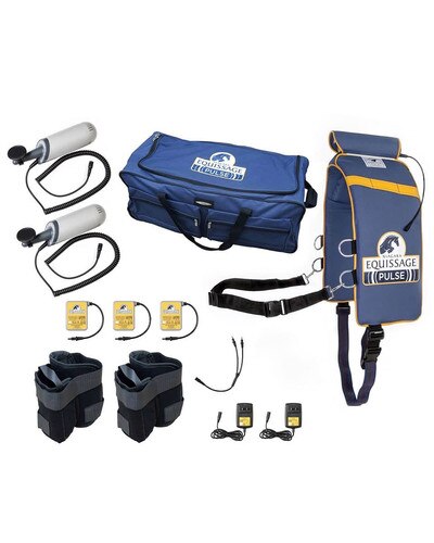 Niagara Equissage Professional Pulse Set for horses