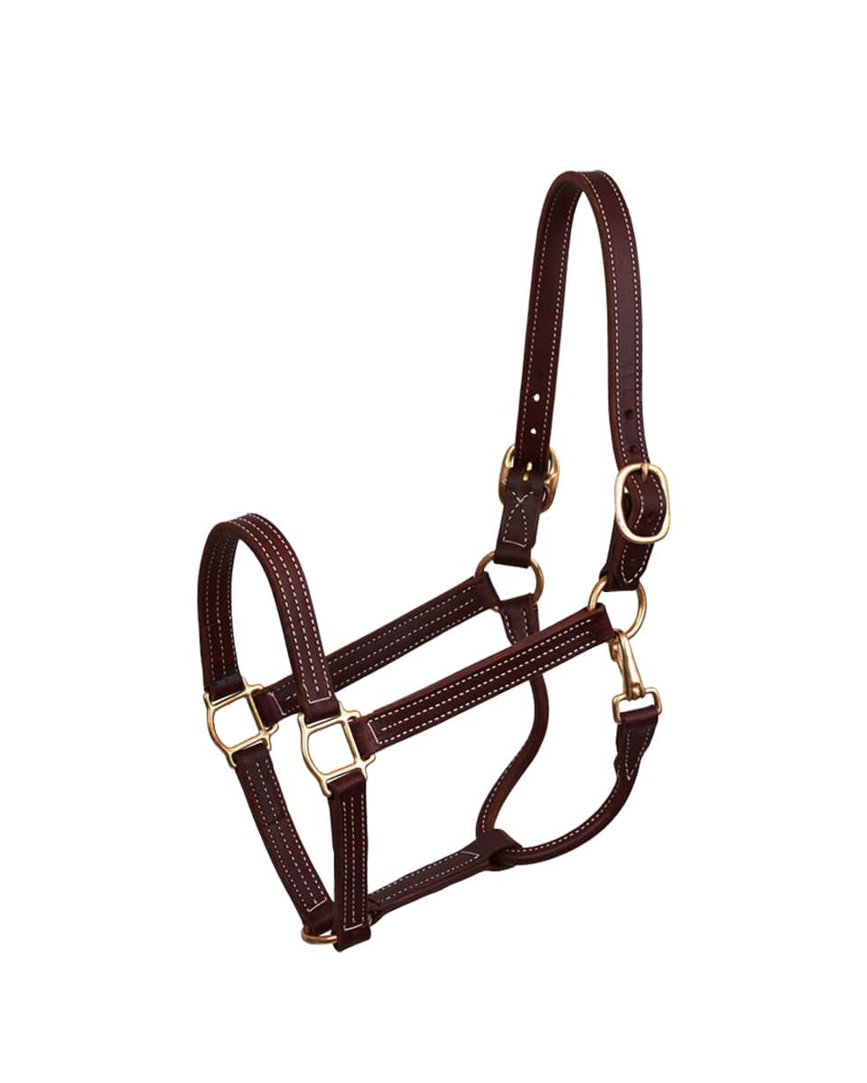 Perri's Professional Show Halter