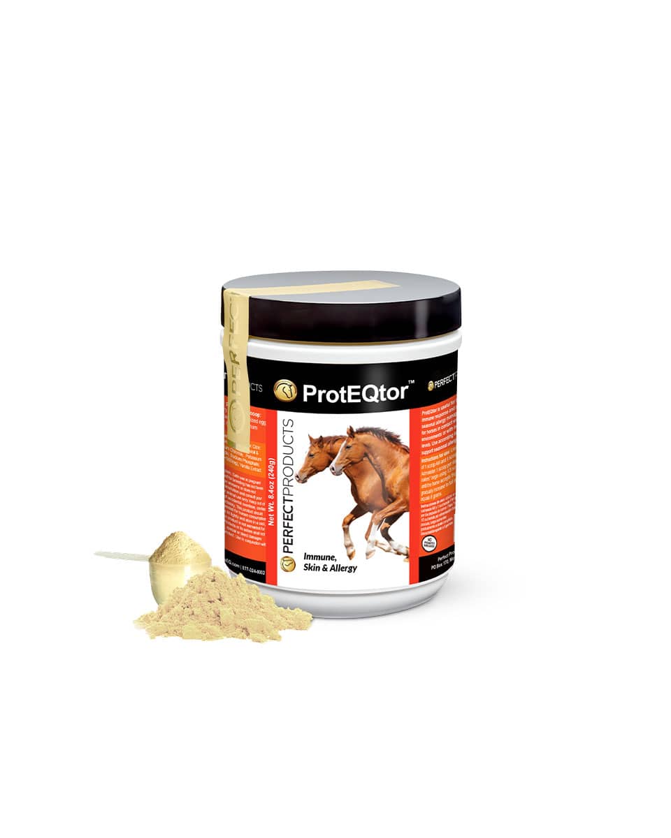 Perfect Products ProtEQtor Immune Support supplement for horses