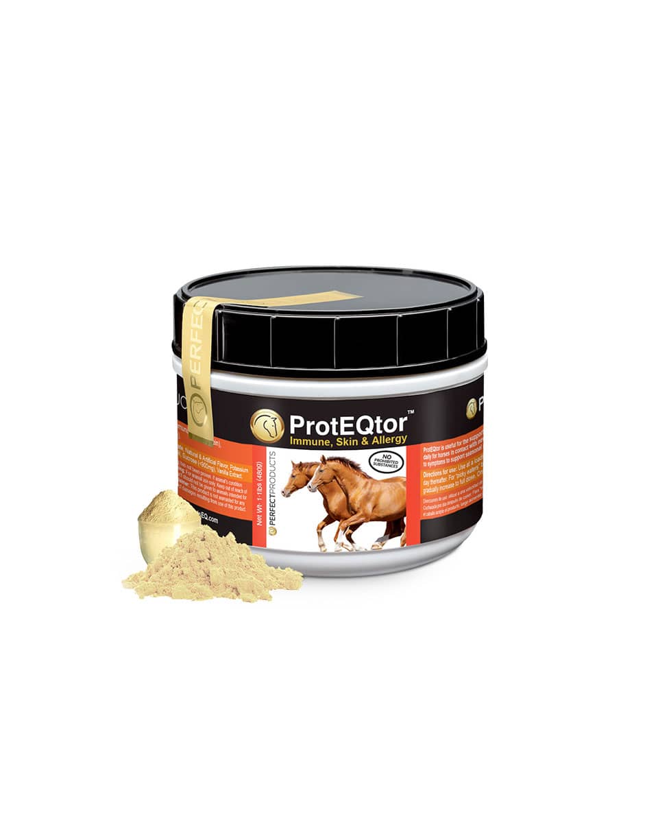 Perfect Products ProtEQtor Immune Support supplement for horses