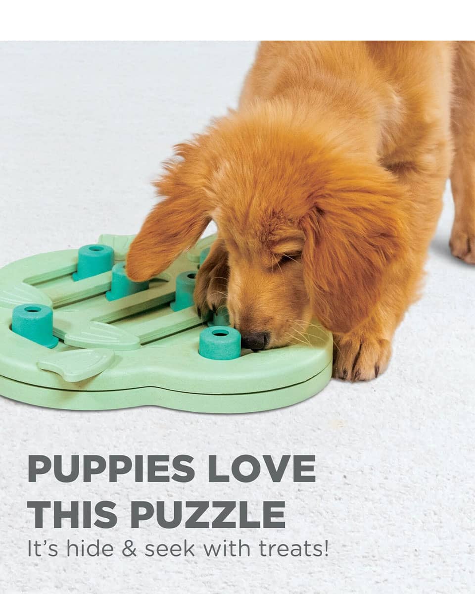 Puppy Hide N' Slide Interactive Puzzle from Nina Ottosson