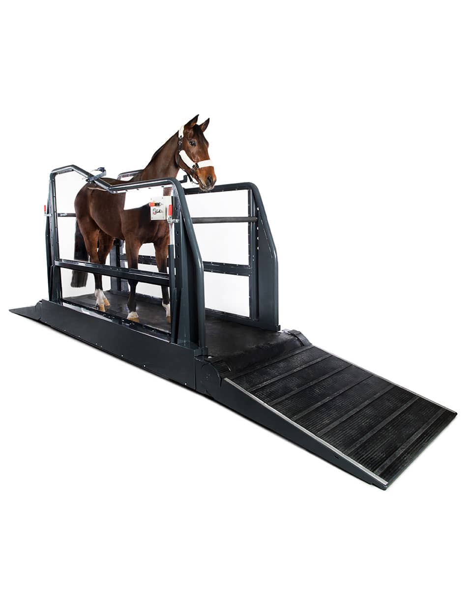 Q-Line Equine Treadmill from Vitafloor