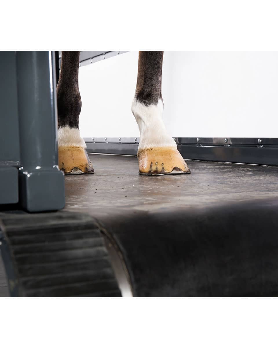 Q-Line Equine Treadmill from Vitafloor