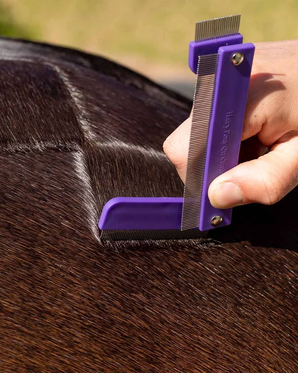 Purple Quarter Marking Comb