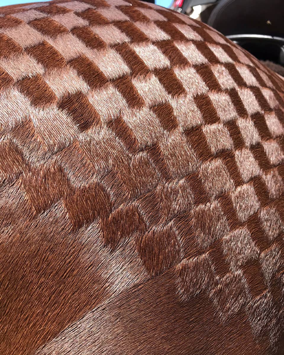 Hairy Pony Quarter Marking Kit