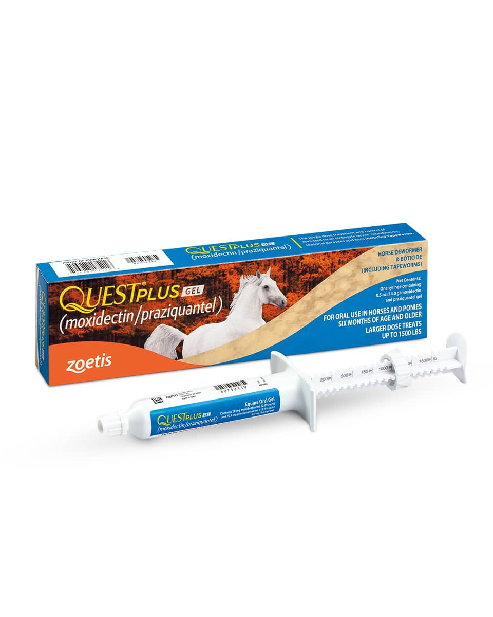 Quest Plus Equine Oral Gel wormer by Zoetis