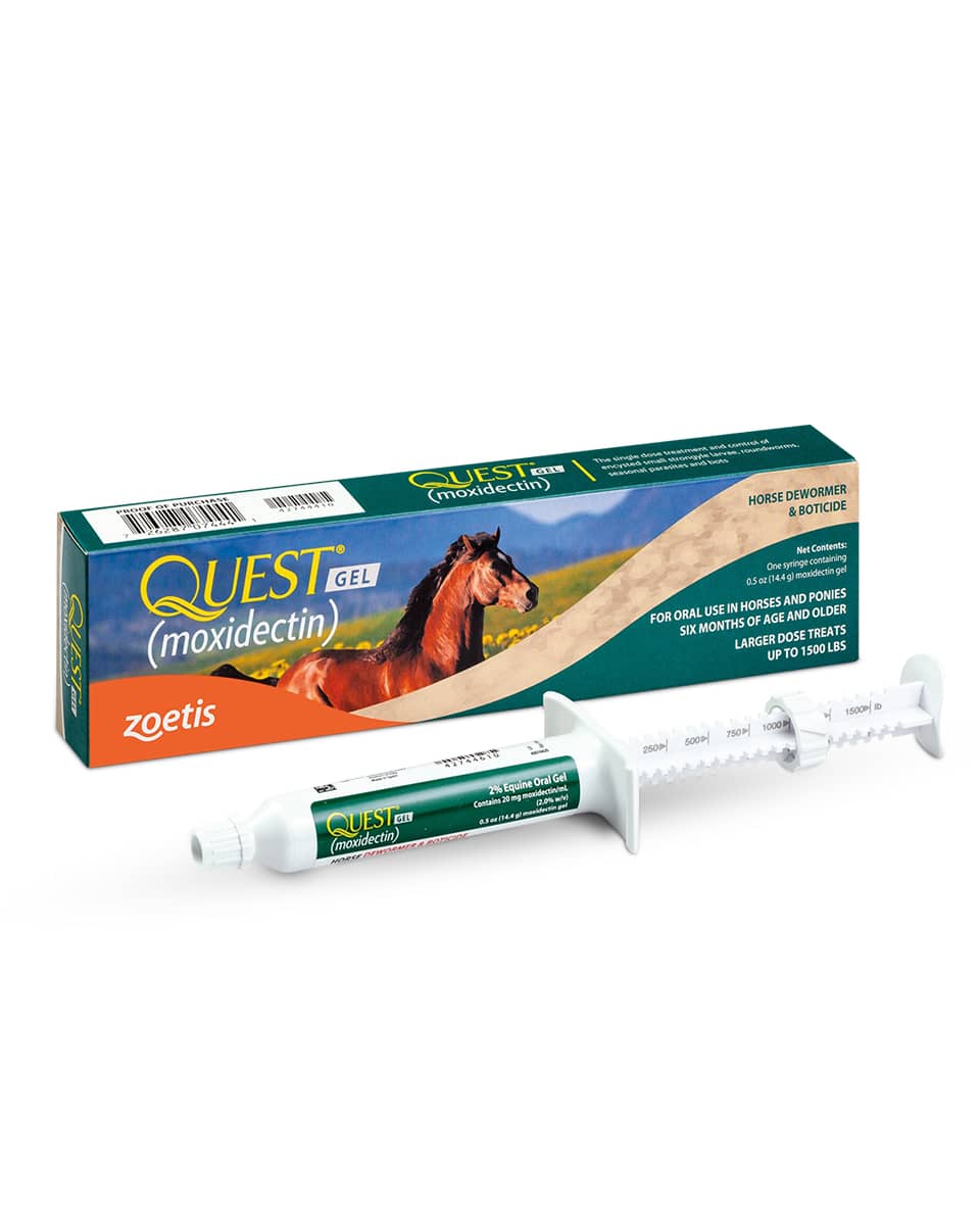 Quest Gel equine dewormer and boticide oral gel by Zoetis