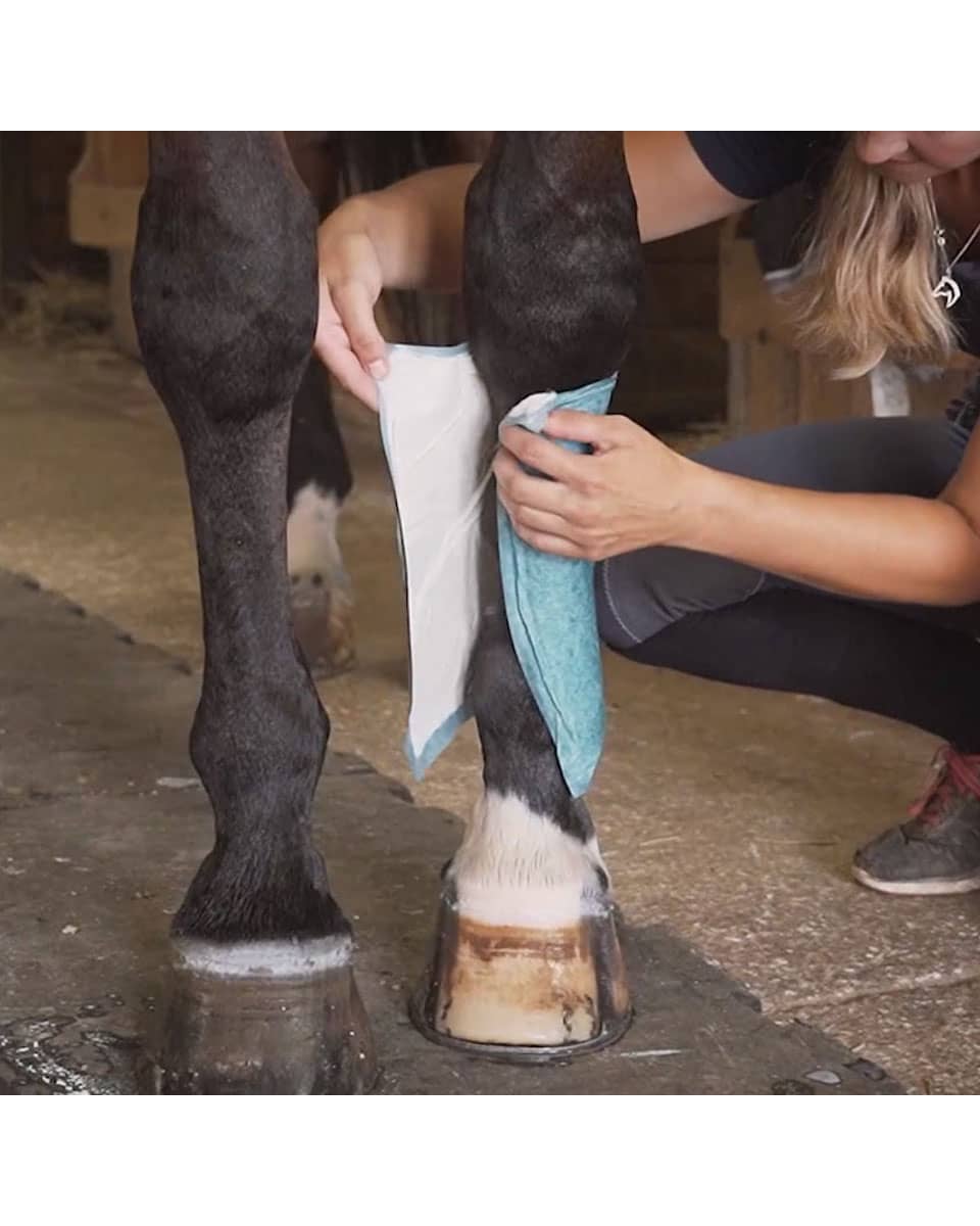 Poultice Wraps Quinn's Equine FarmVet
