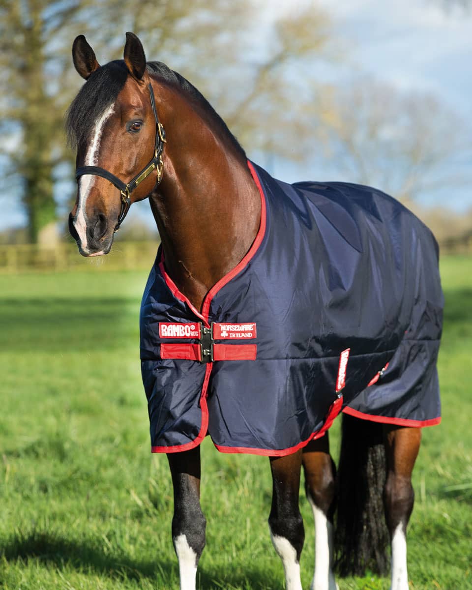 Rambo Original Turnout Medium from Horseware Ireland