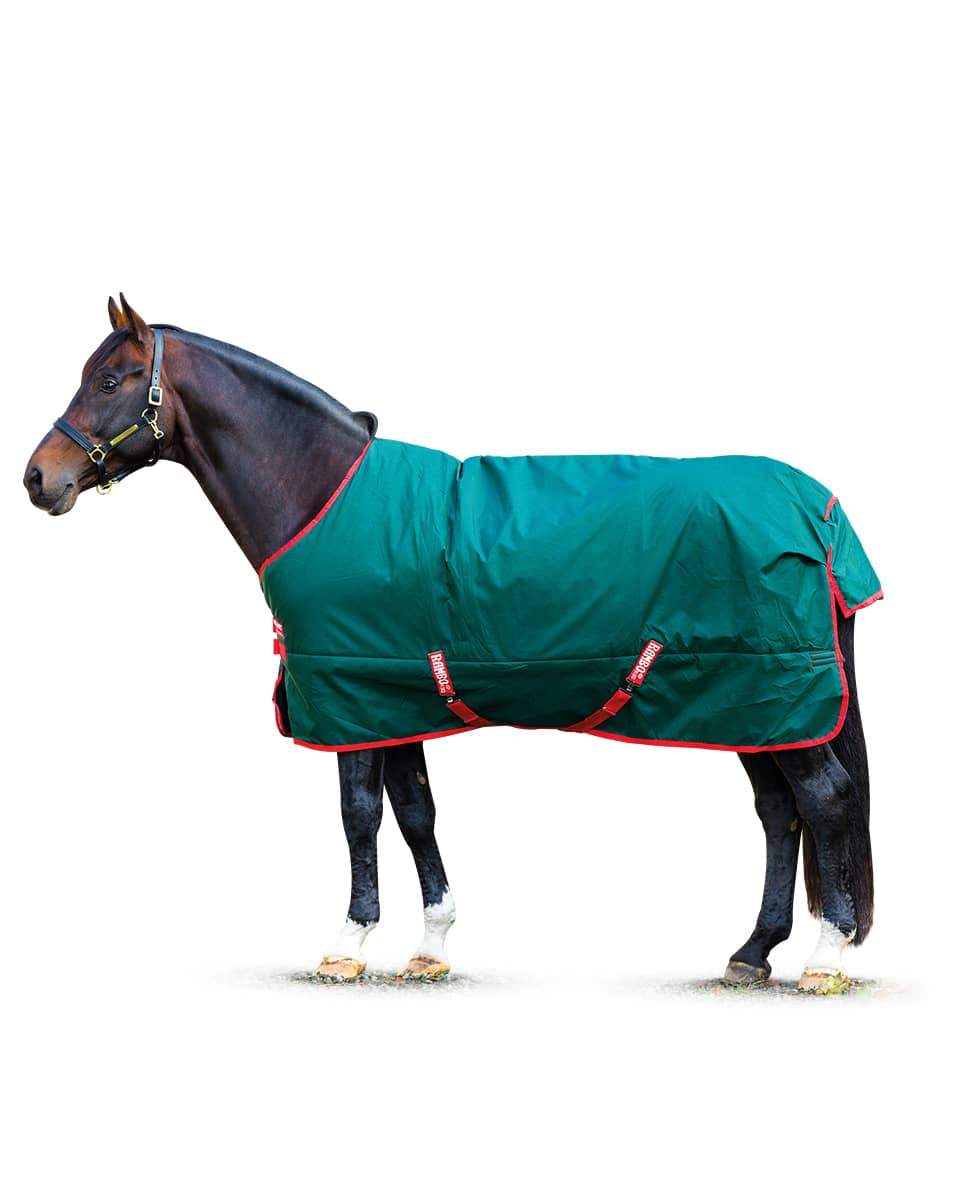 Rambo Original Turnout Lite