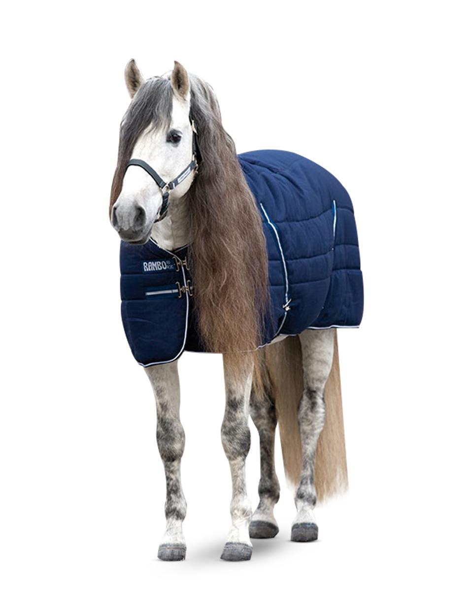 https://www.farmvet.com/site/images/Products/Rambo-Stable-Blanket-Medium-200-gram_media-1.jpg