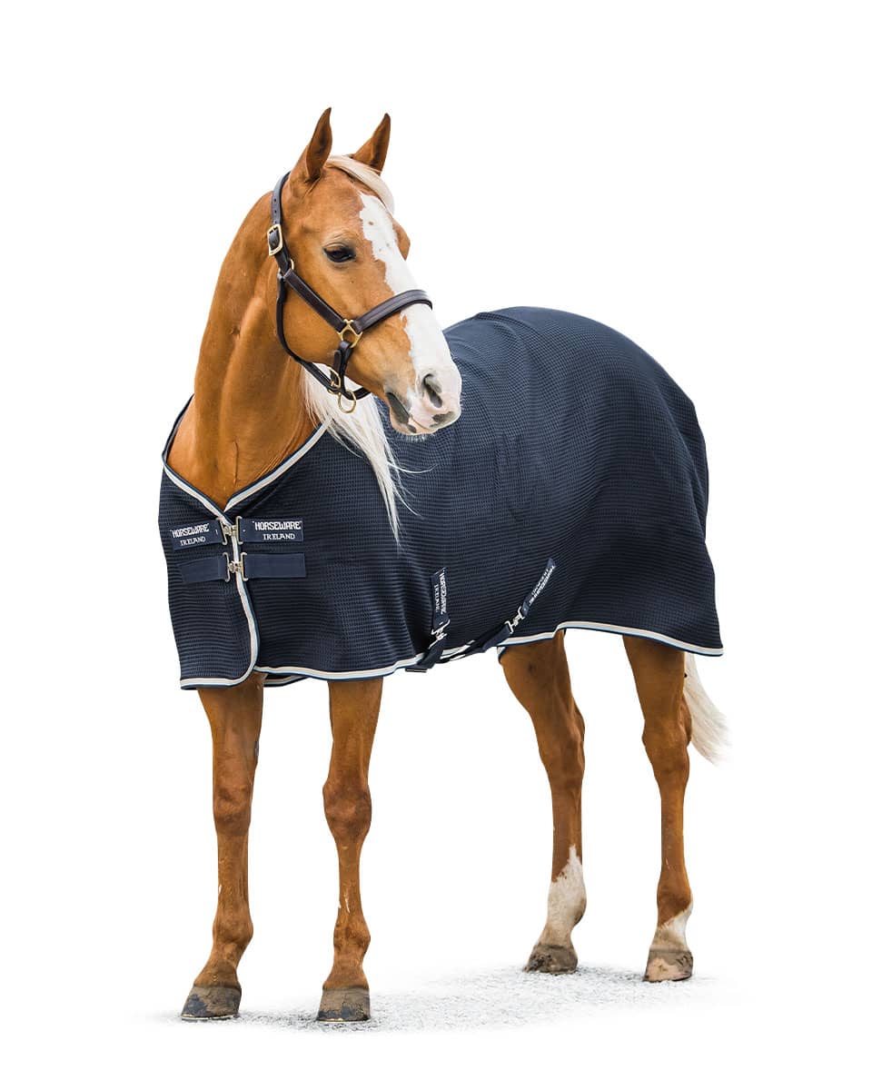 Rambo Techni-Waffle from Horseware Ireland