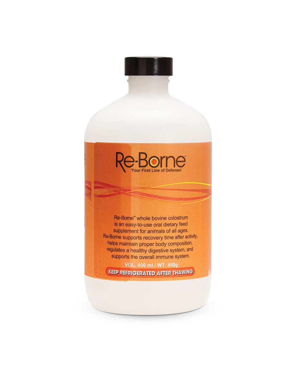 Re-Borne high-quality bovine colostrum for horses from Halstrum