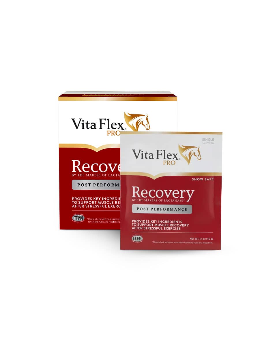 Recovery from Vita-Flex