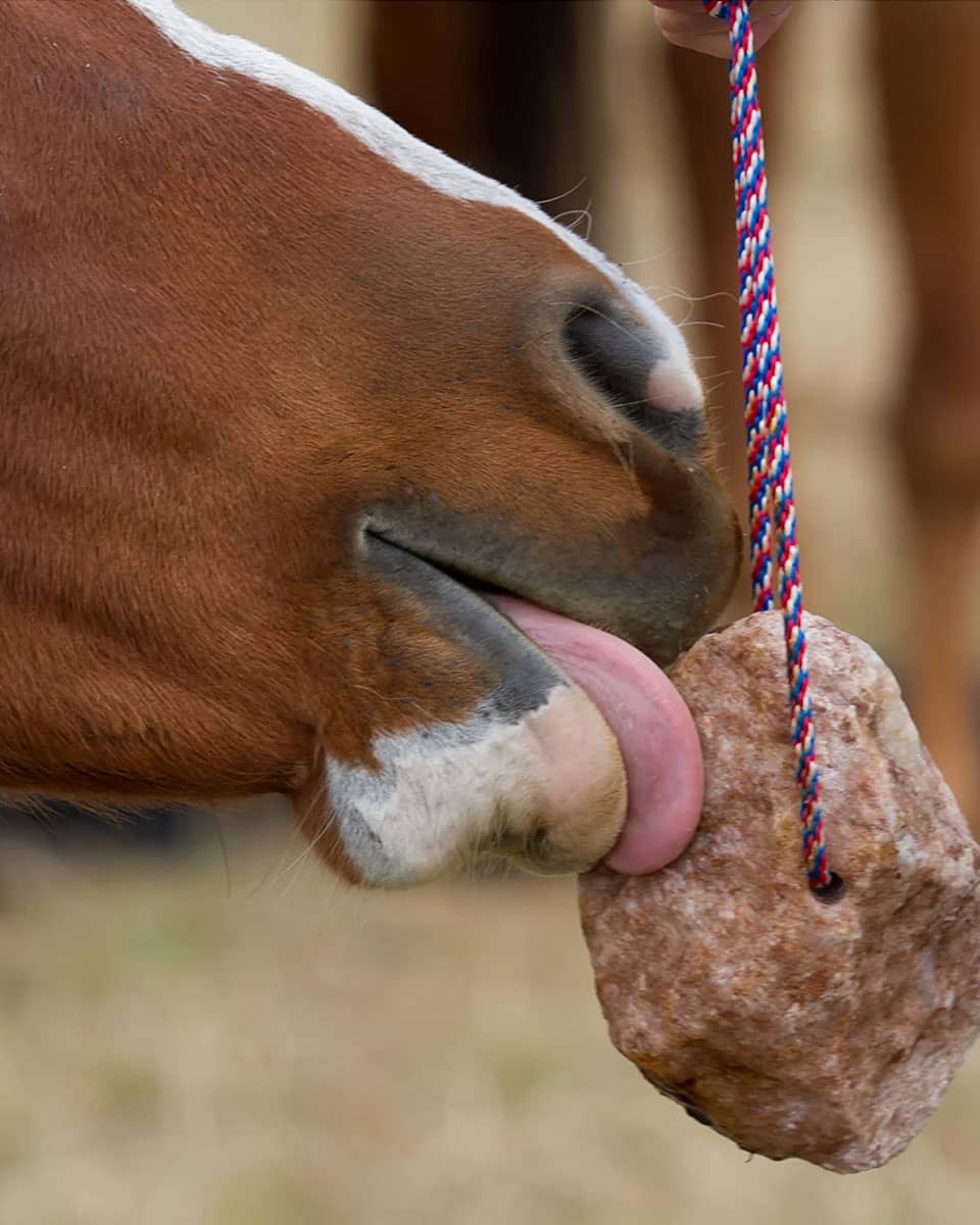 Redmond Rock Salt on a Rope Redmond Equine FarmVet