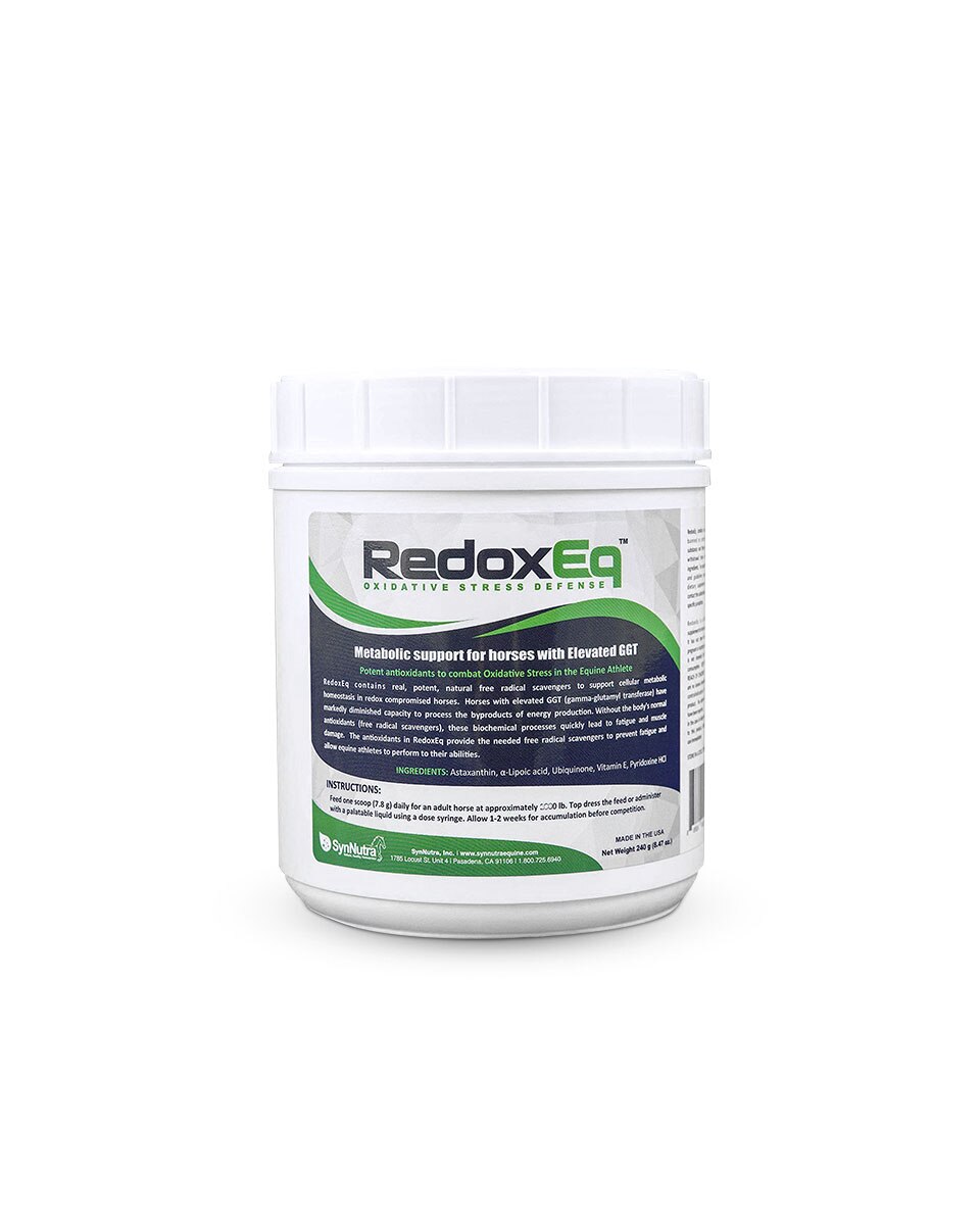 RedoxEq equine supplement by SynNutra
