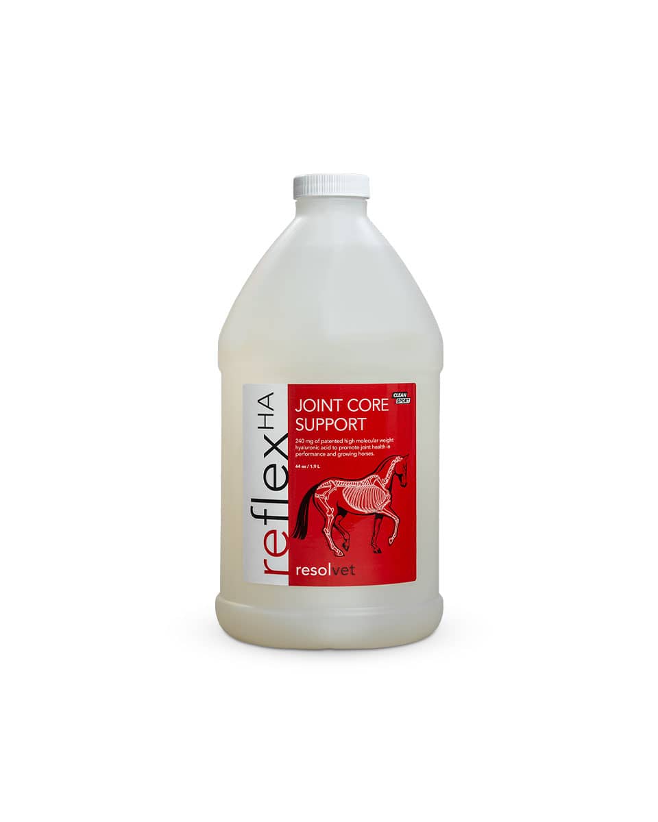 Resolvet Reflex HA hyaluronic acid joint supplement for horses