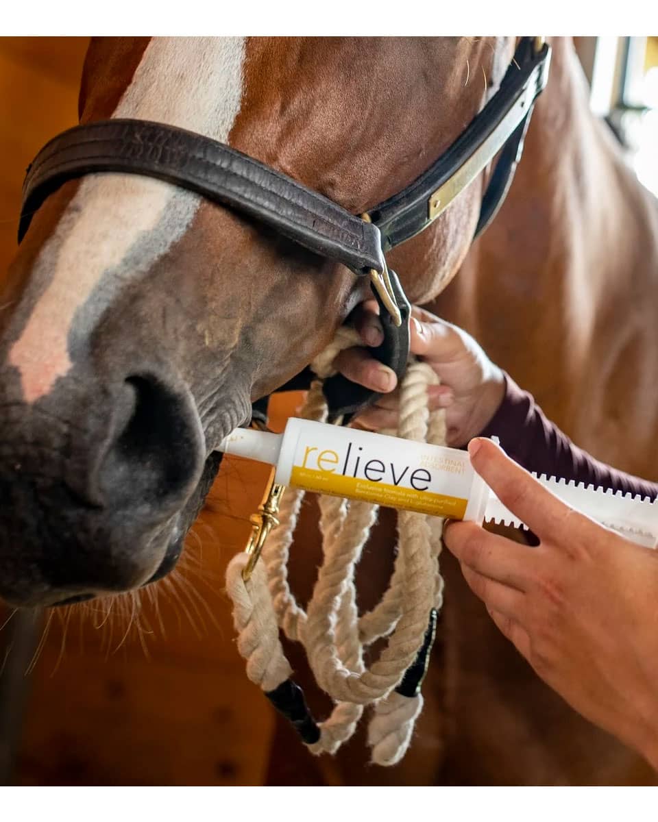 Resolvet Relieve Paste digestive support