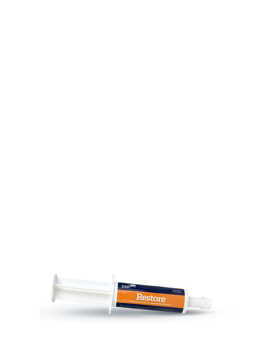 Restore Paste KER supplement for horses