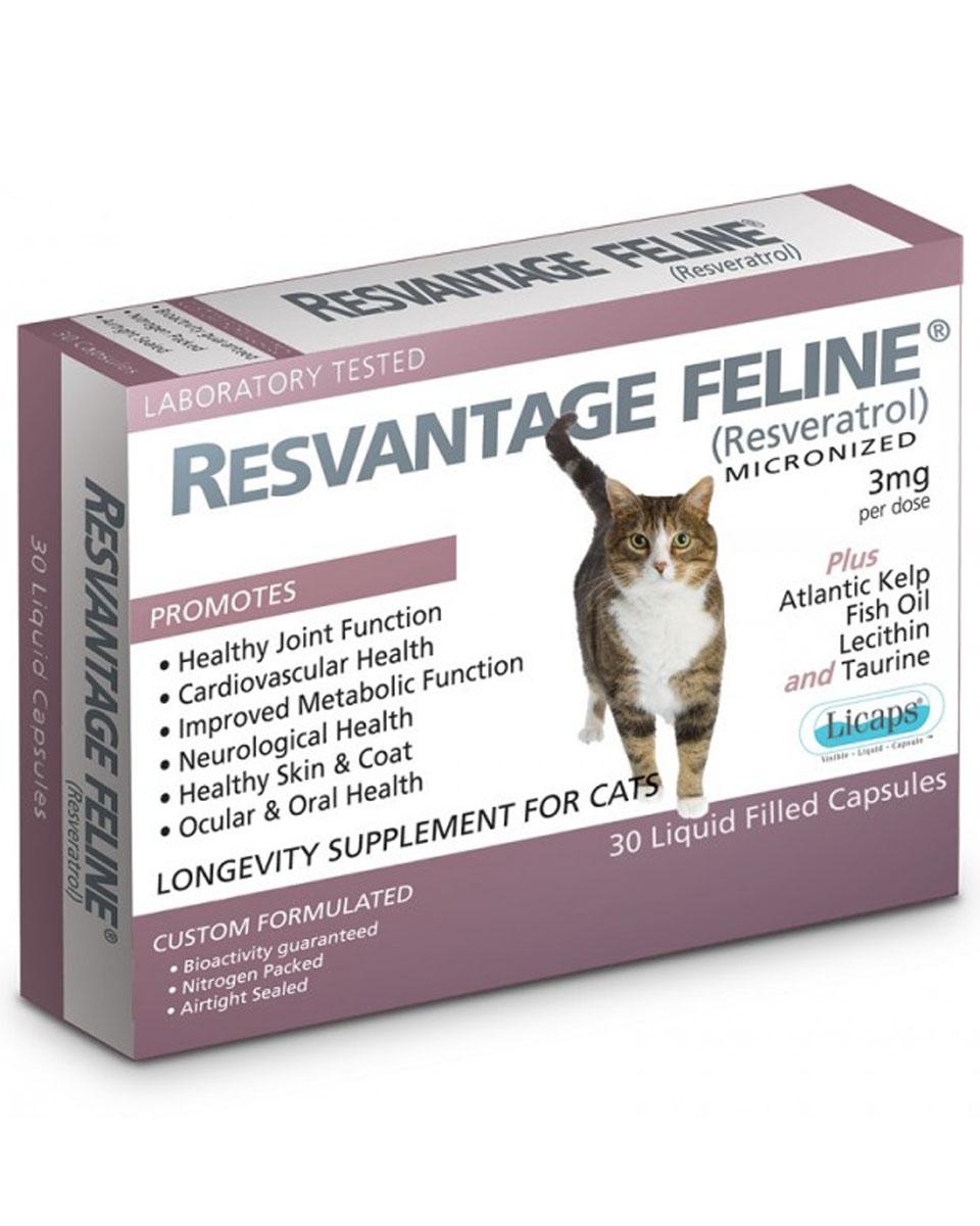 Resvantage Feline Joint Supplement For Cats Farmvet