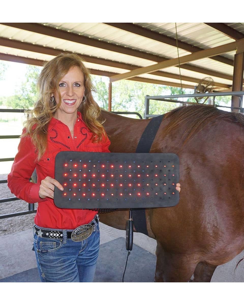 RevitaVet Back Saver from RevitaVet Light Therapy - wearable red light therapy for horses