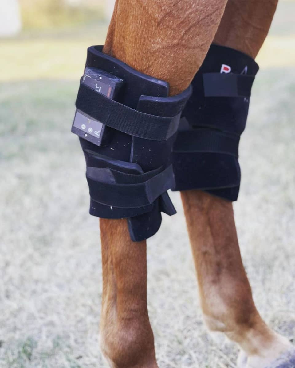 RevitaVet Hock Saver from RevitaVet Light Therapy - wearable red light therapy for horses