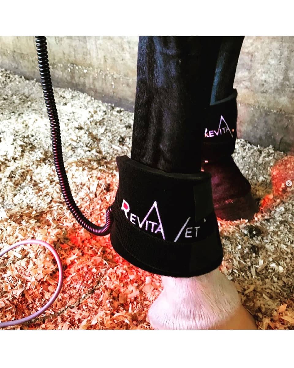 RevitaVet IR2 from RevitaVet Therapy Systems class 2 laser therapy for horses