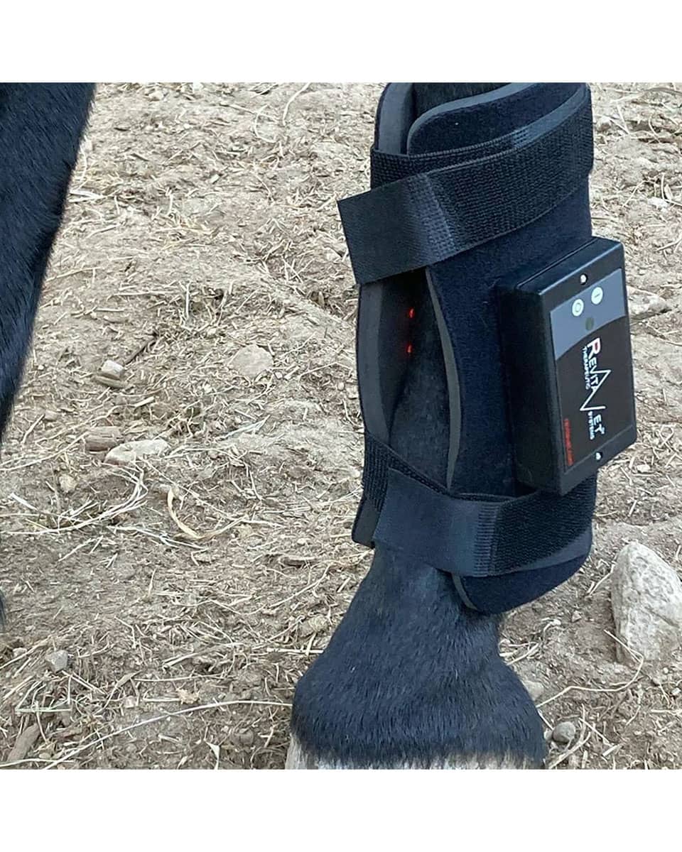 RevitaVet Tendon Saver from RevitaVet Light Therapy - wearable red light therapy for horses