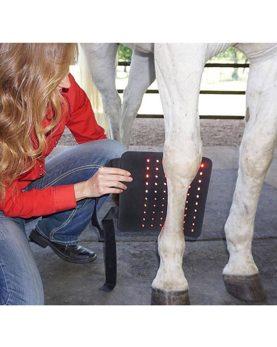 RevitaVet Tendon Saver from RevitaVet Light Therapy - wearable red light therapy for horses