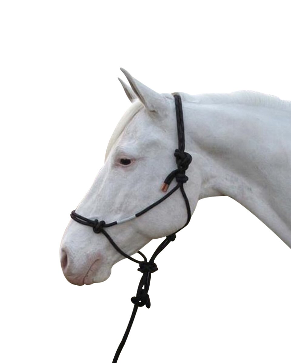 Black Rope Halter & Lead
