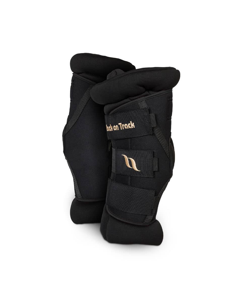 Back On Track Royal Padded Hock Boots Deluxe - Black