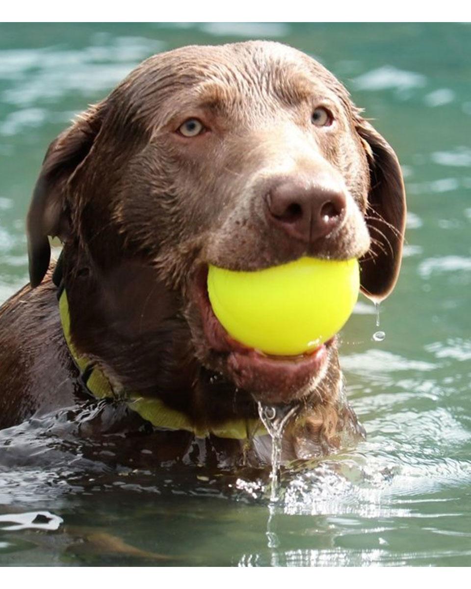 RuffDawg Indestructible Ball