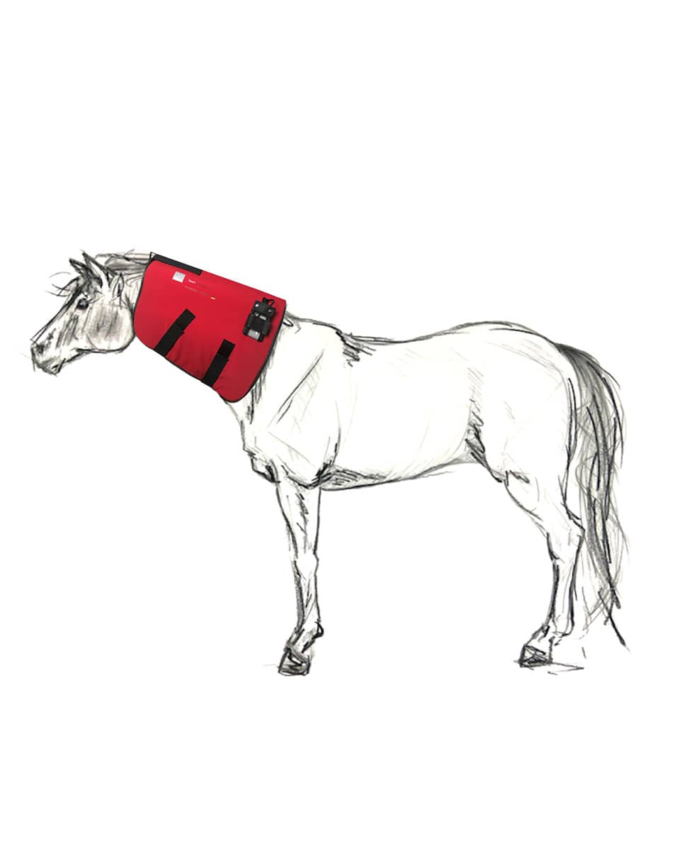 Sport Innovations PEMF Neck Part for equine therapy
