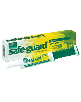 Safe-Guard