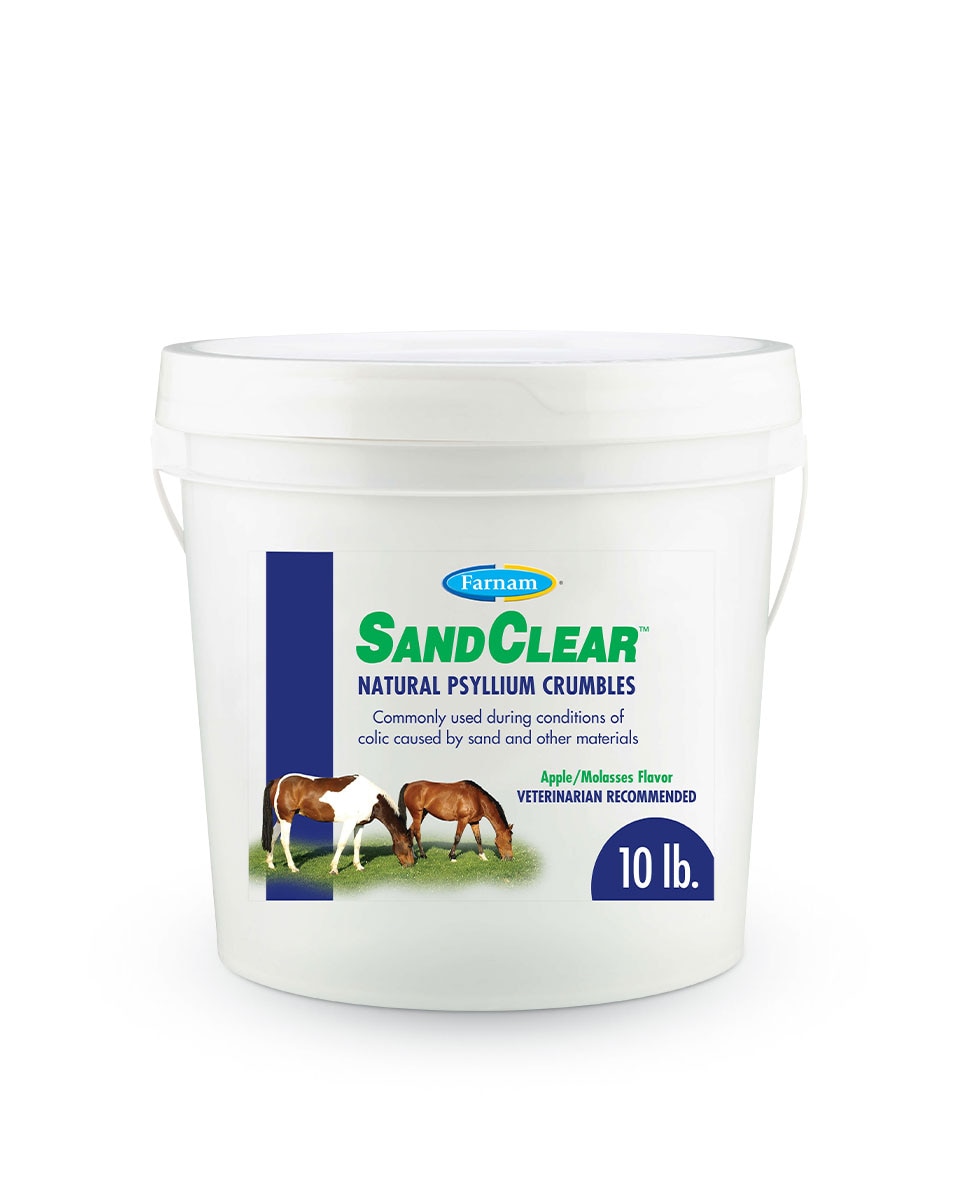 SandClear intestinal supplement for horses by Farnam