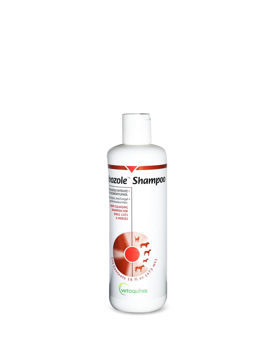 Sebozole Shampoo