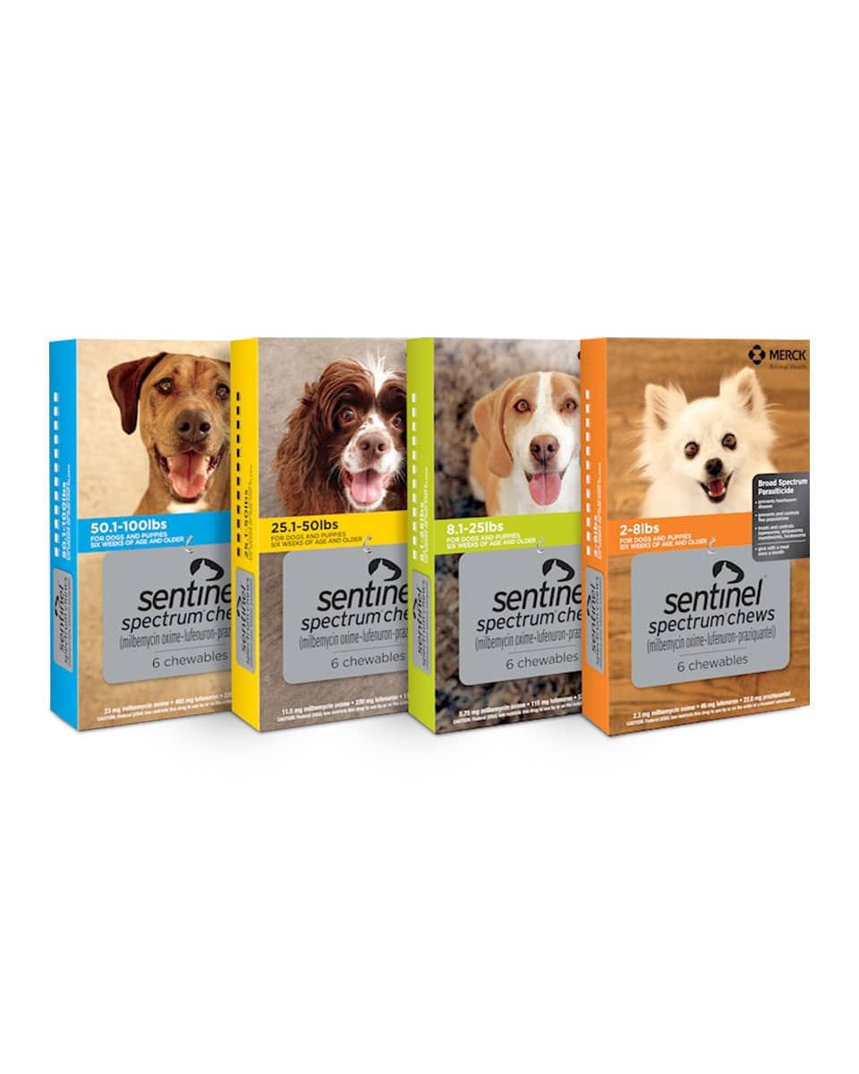 Sentinel Spectrum Soft Chews for Dogs