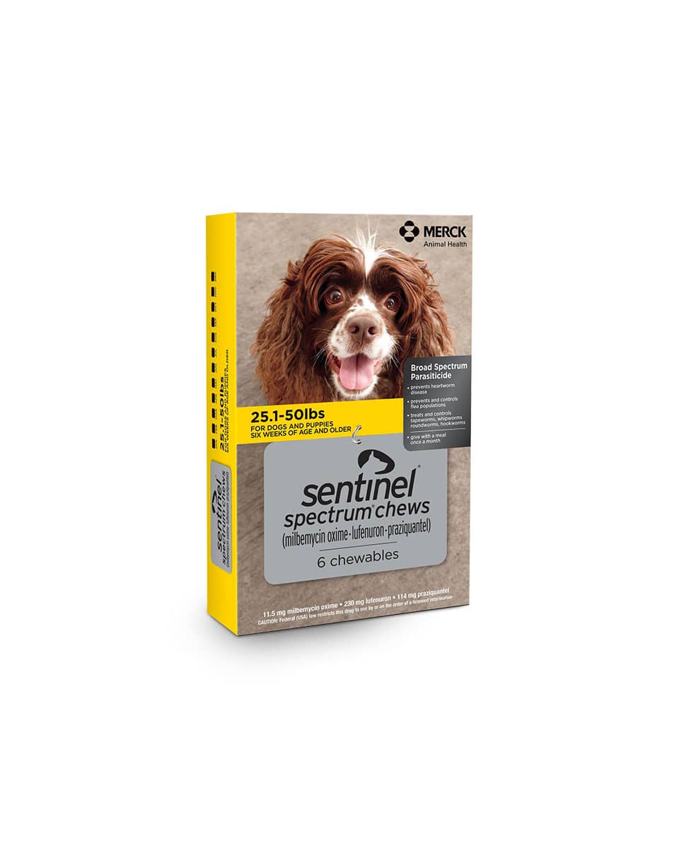 Sentinel Spectrum Soft Chews for Dogs