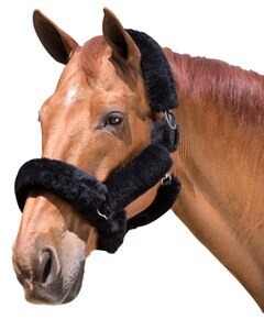 Walsh Sheepskin Shipping Halter Black
