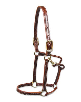 Walsh Showman Halter