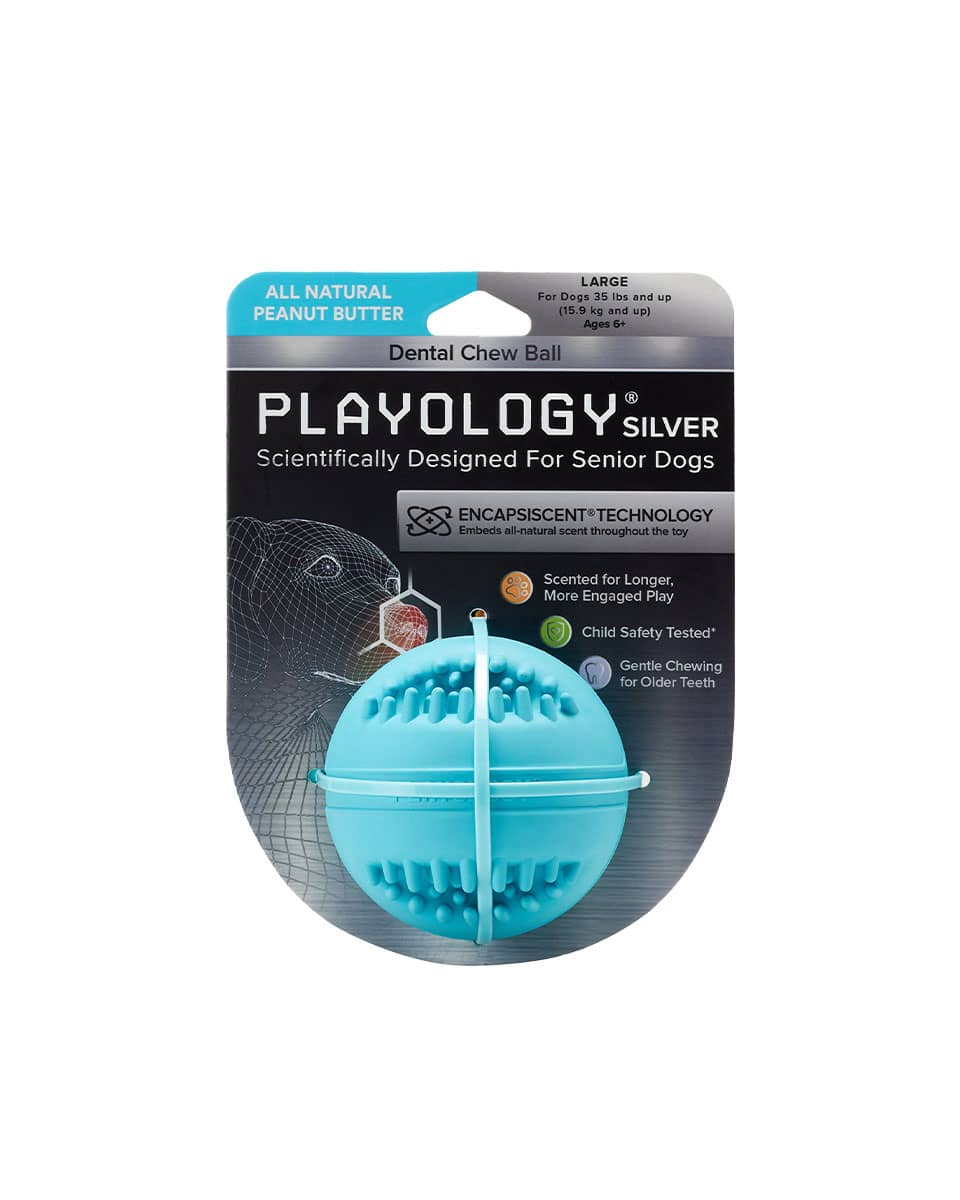 Playology Silver Dental Chew Ball dog toy