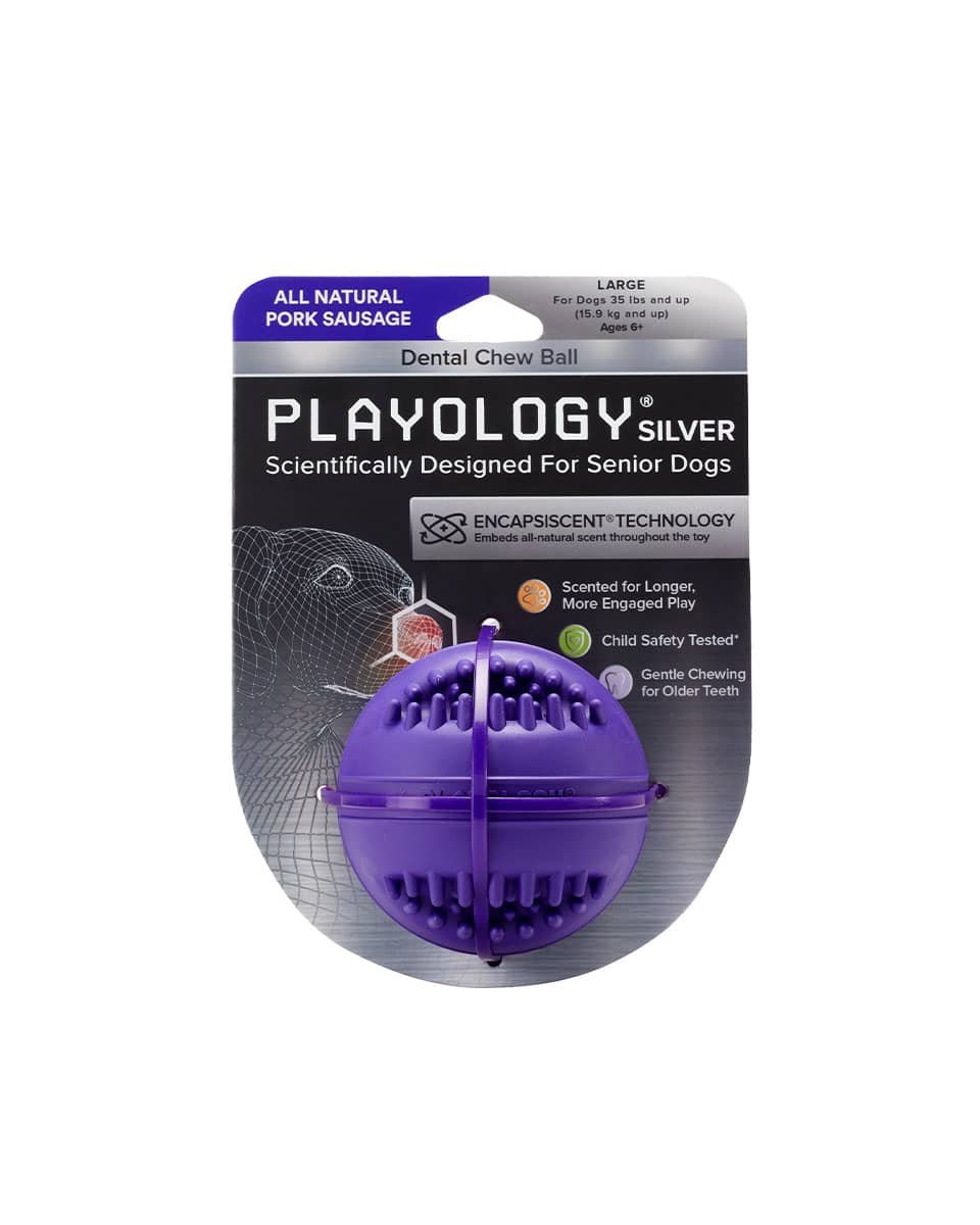 Playology Silver Dental Chew Ball dog toy