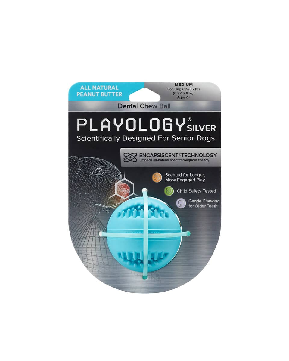 Playology Silver Dental Chew Ball dog toy