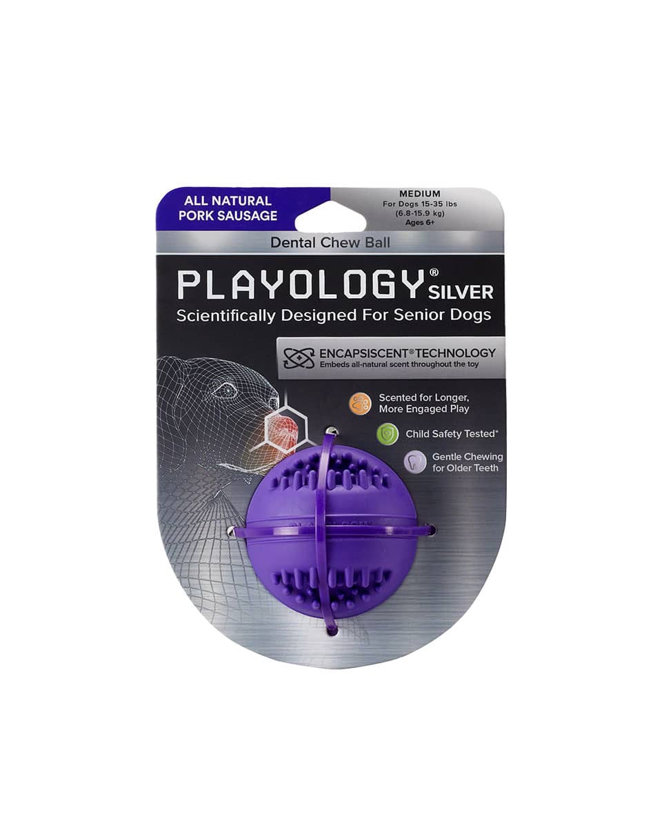 Playology Silver Dental Chew Ball dog toy