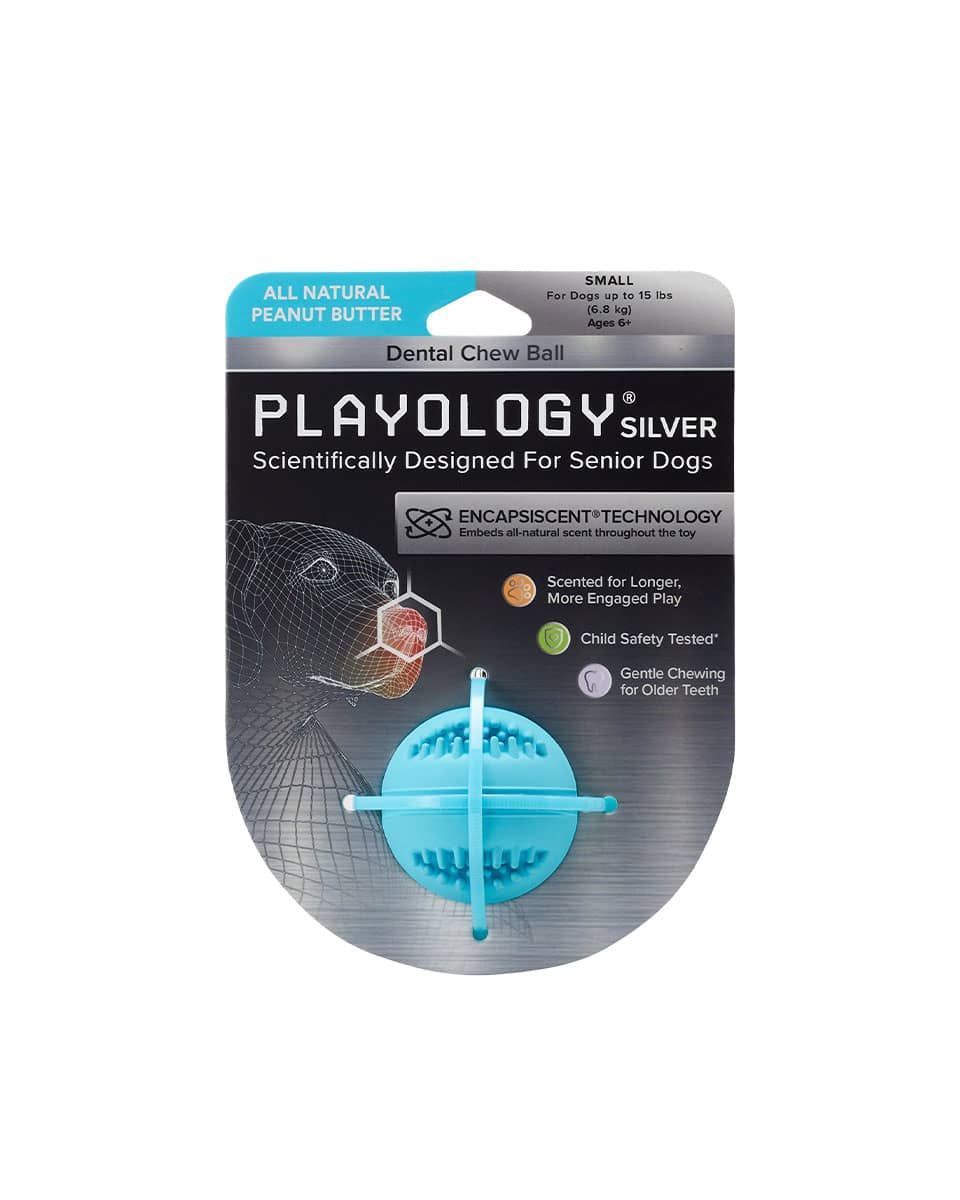 Playology Silver Dental Chew Ball dog toy