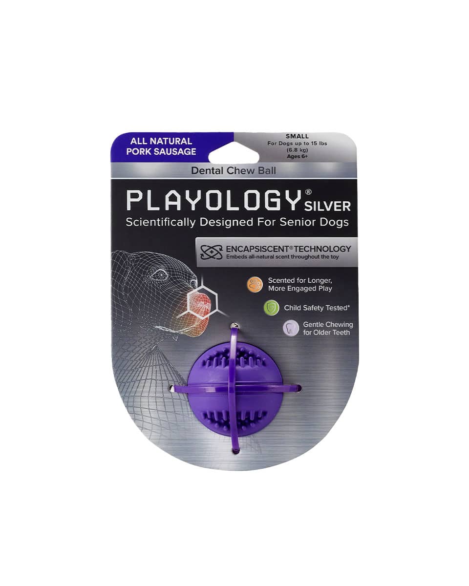 Playology Silver Dental Chew Ball dog toy