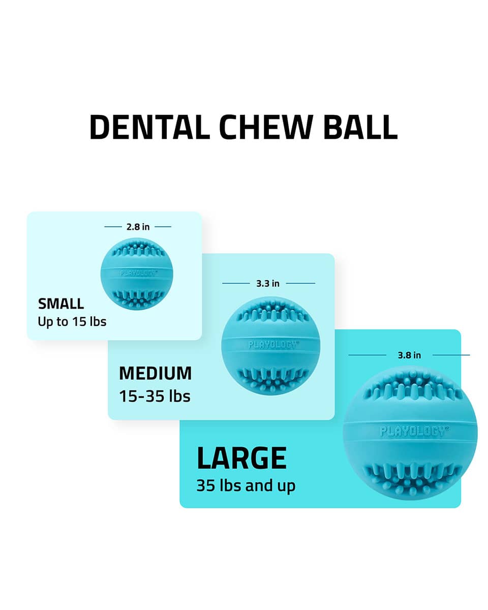 Playology Silver Dental Chew Ball dog toy