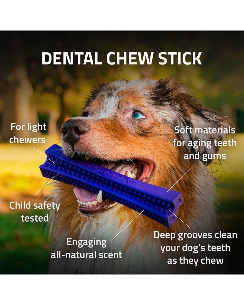 Playology Silver Dental Chew Stick dog toy