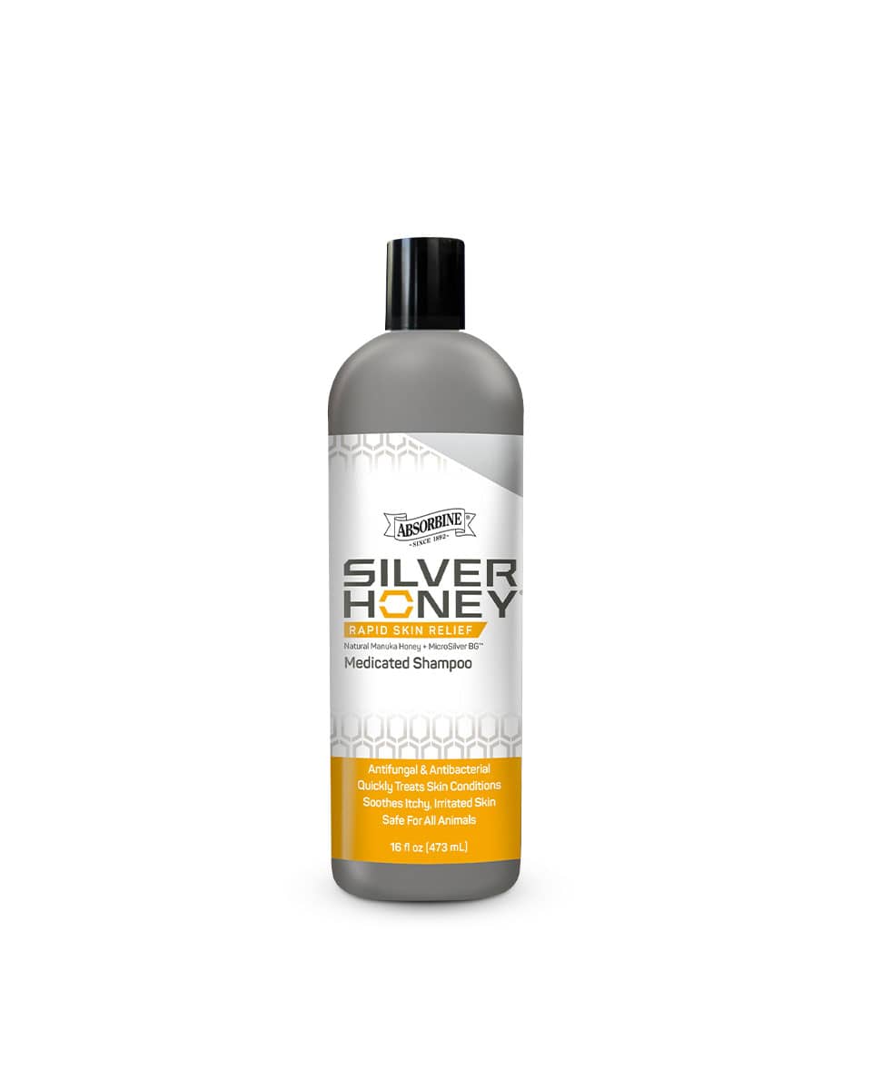 Silver Honey Medicated Shampoo from Absorbine