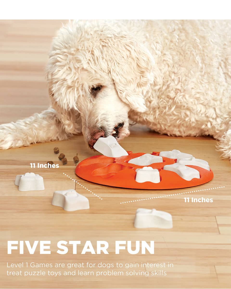 Smart Interactive Puzzle Dog Toy from Nina Ottosson